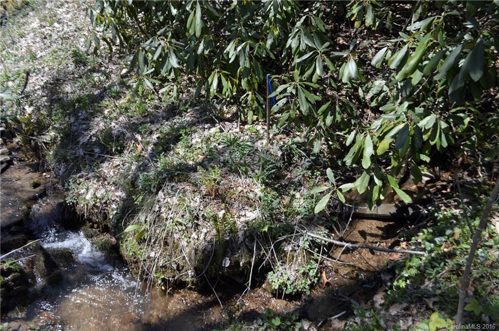 Sherwood Forest - Land