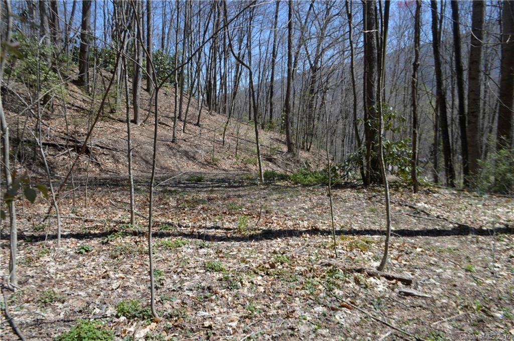 Sherwood Forest - Land