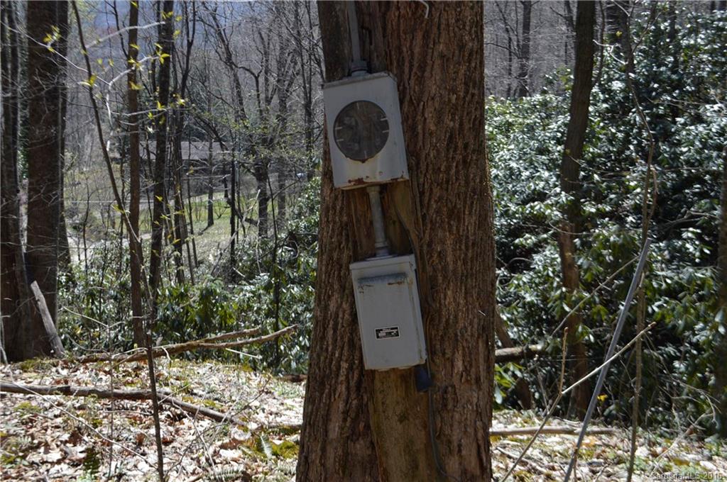 Sherwood Forest - Land