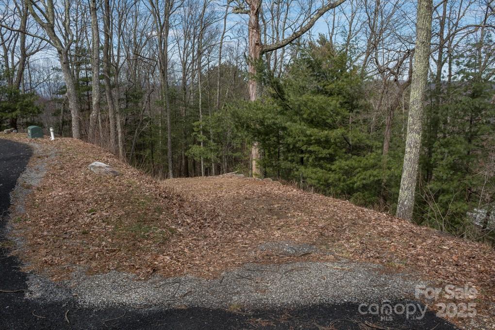 Wildcat Cliffs - Land