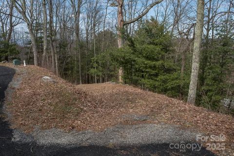 Photo of 999 Falconwood Lane #25, Asheville, NC 28804 (MLS # 4174748)