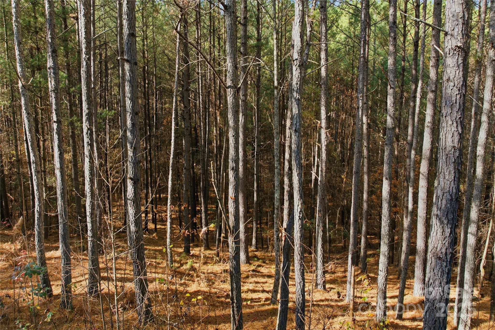 161 W Settings Boulevard NW