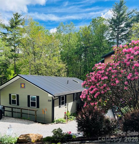 229 Spring Brook Road Newland NC 28657