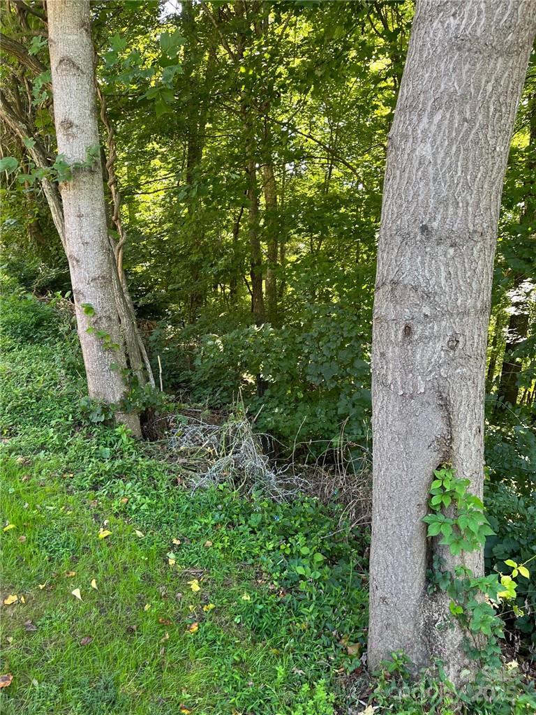 Sunset Mountain - Land