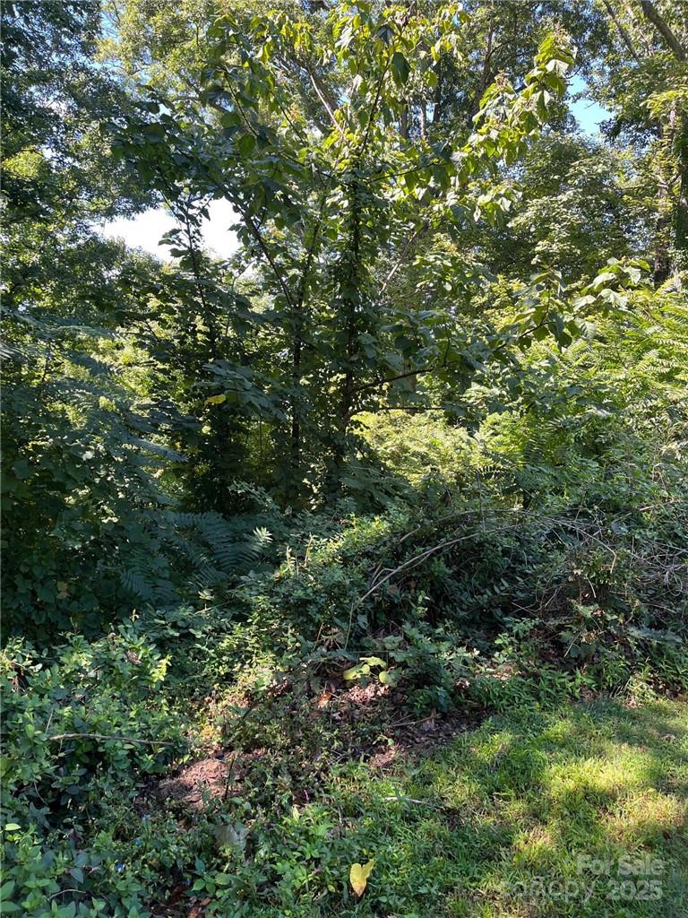 Sunset Mountain - Land