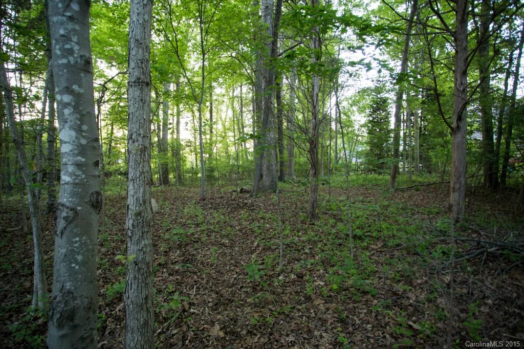 Coachman Ridge - Residential