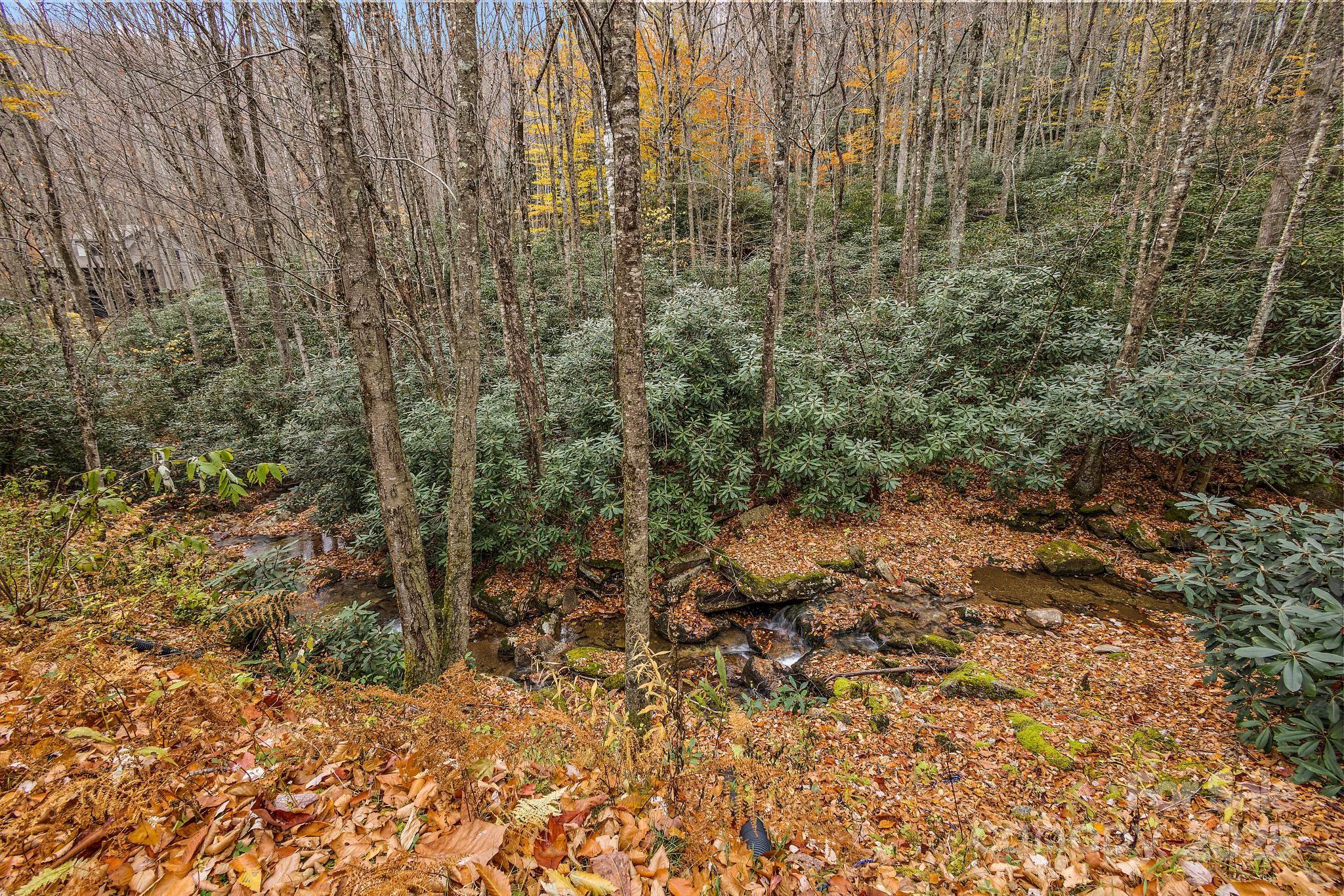 Chestnut Falls - Residential