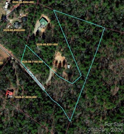 99999 Laura Brooke Drive Penrose NC 28766