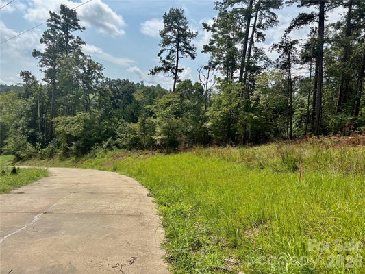 WESCOTT RD, ALEXANDER, NC 28701 - Image 3935d8ef10efdd6517d2eb51ff59605e/2007113569
