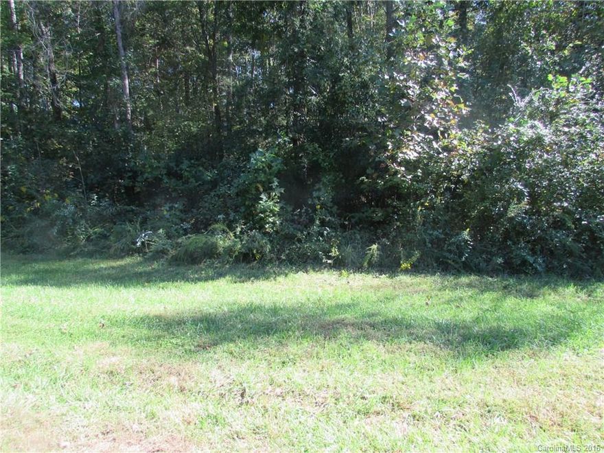 Mostly wooded building lot in very nice Mint Hill neighborhood. Great location, with easy access to four-lane Hwy. 24-27 and I-485.
