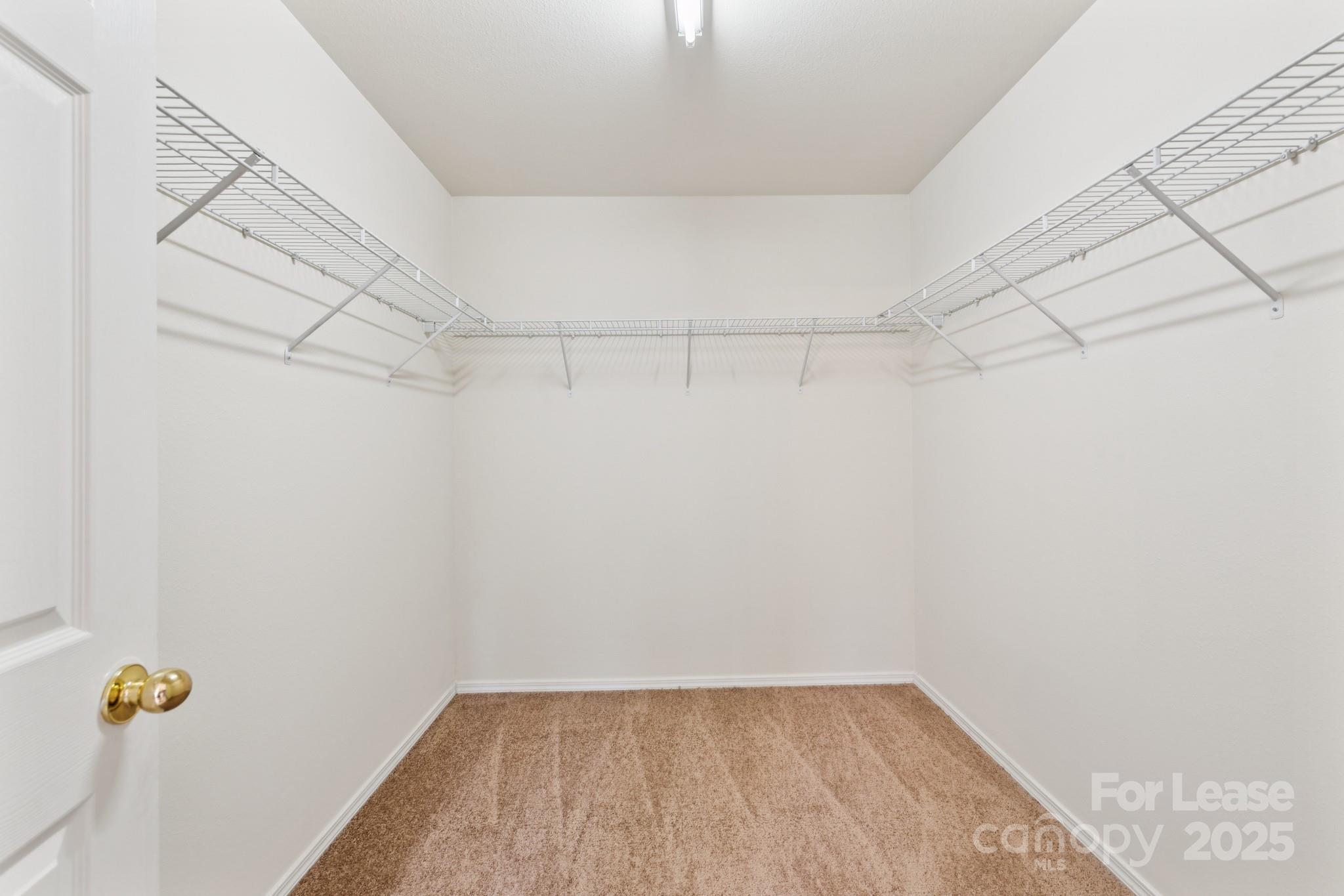 Mcintyre - Residential Lease