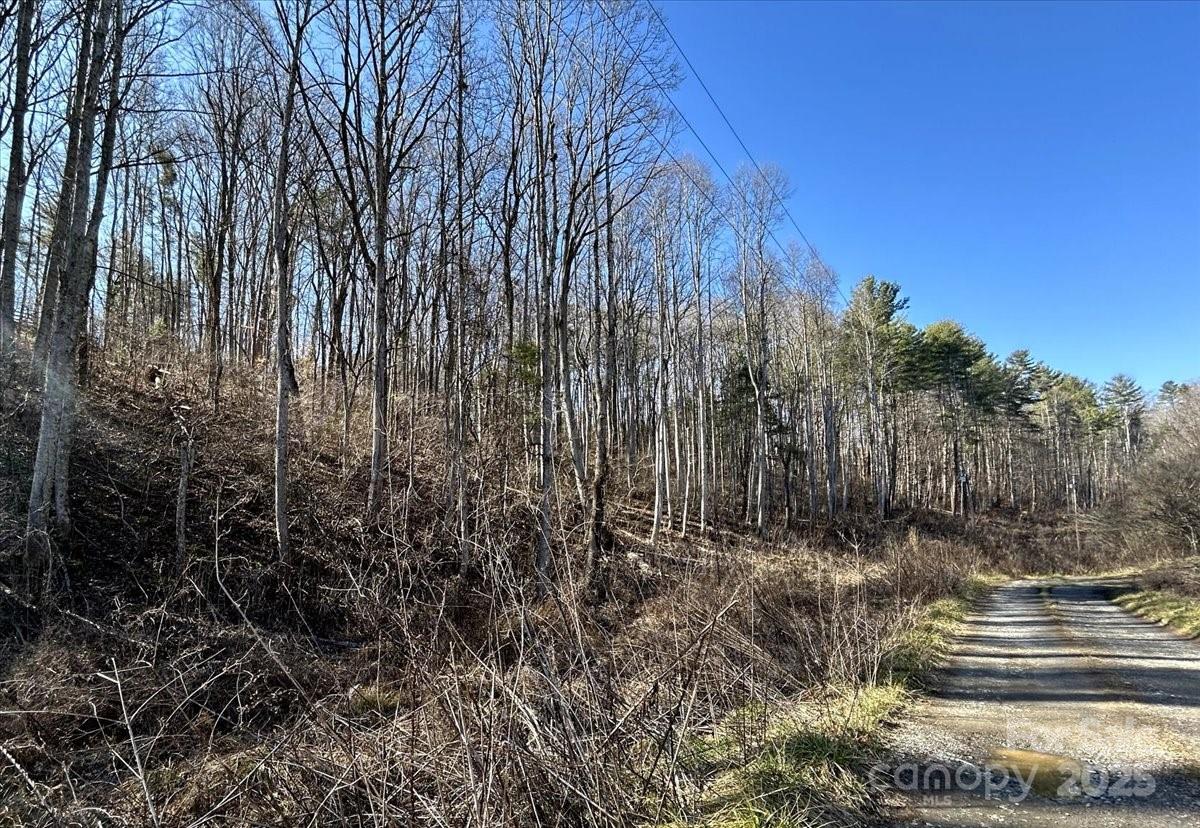 99999 Lloyd Drive 3C