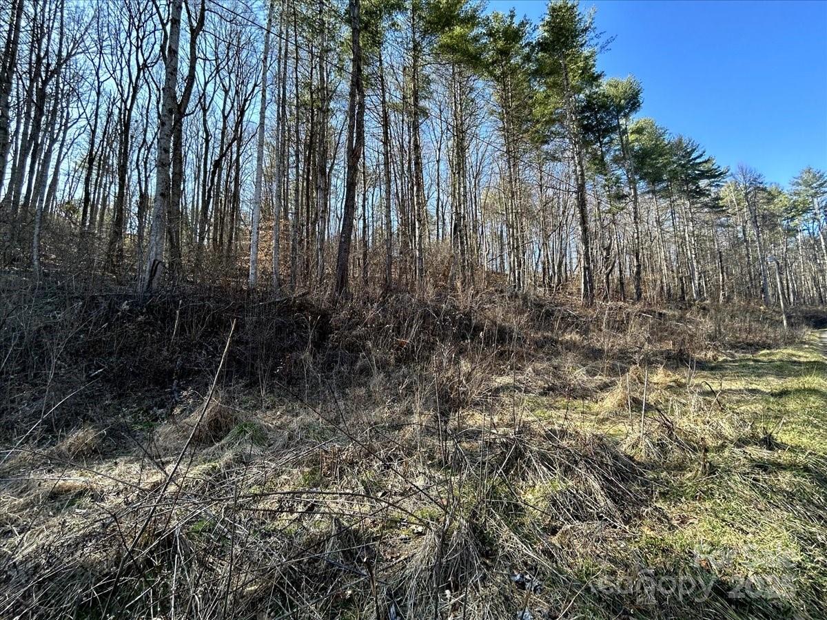 99999 Lloyd Drive 3C