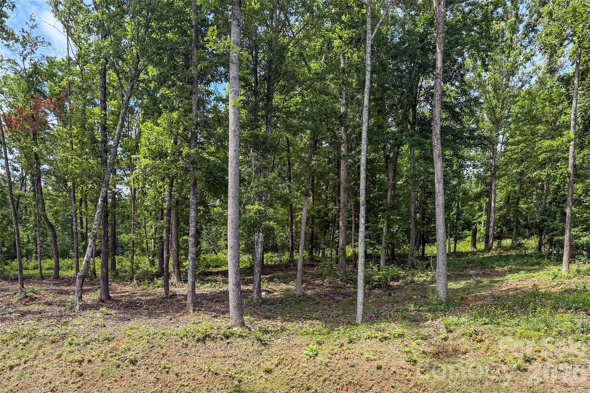 99999 Bear View Road