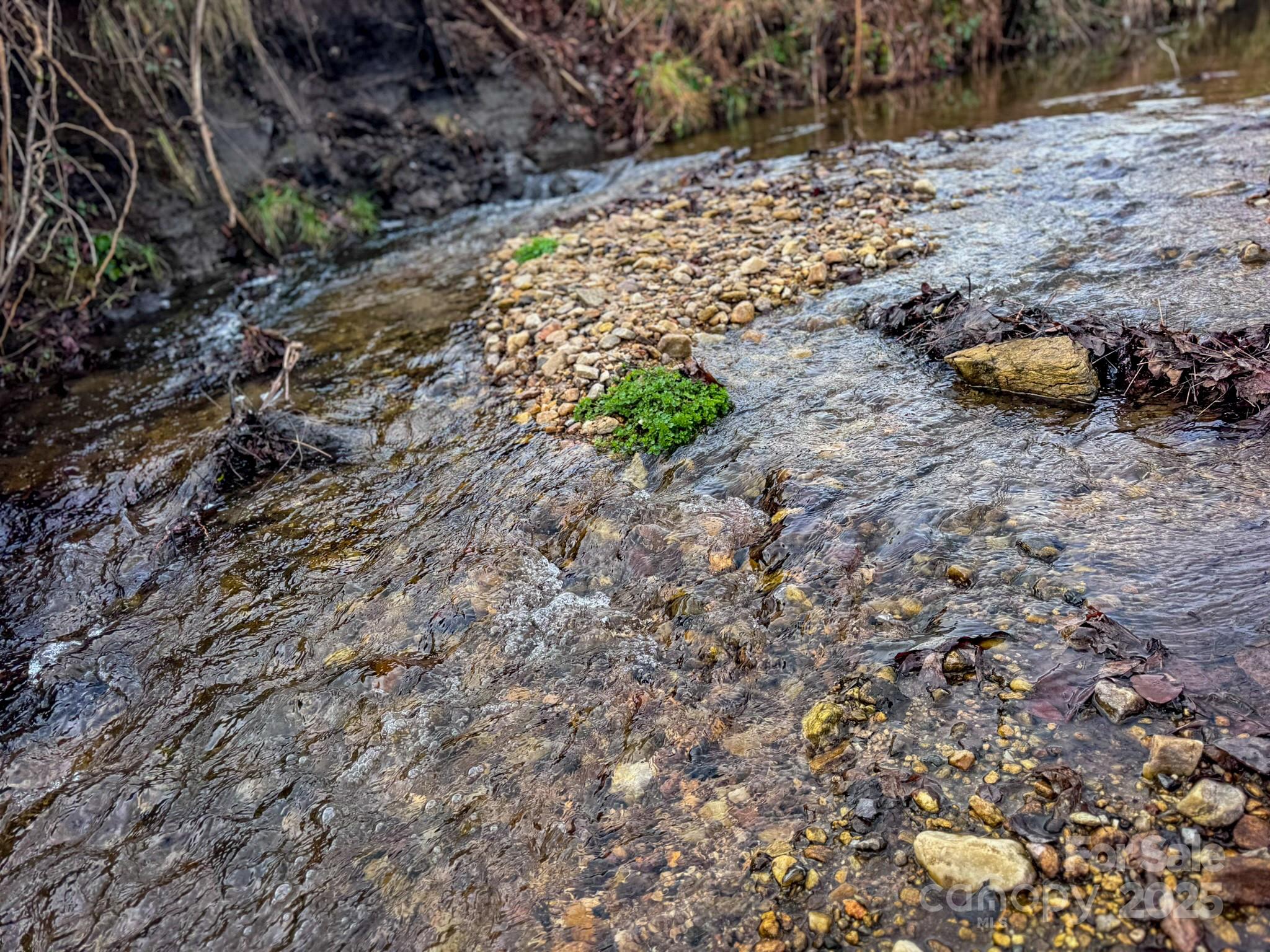 Red Maple Farms - Land