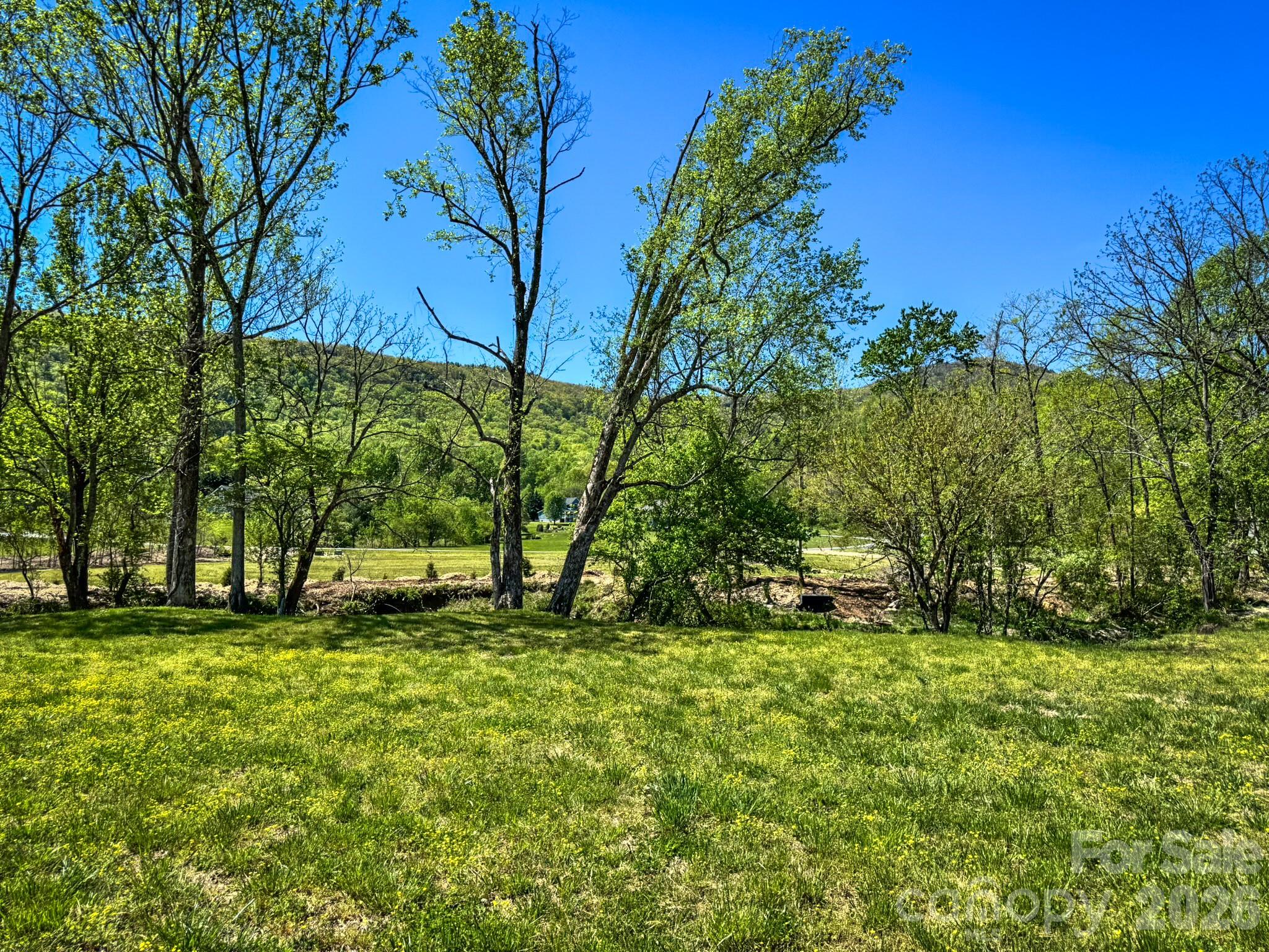 Red Maple Farms - Land