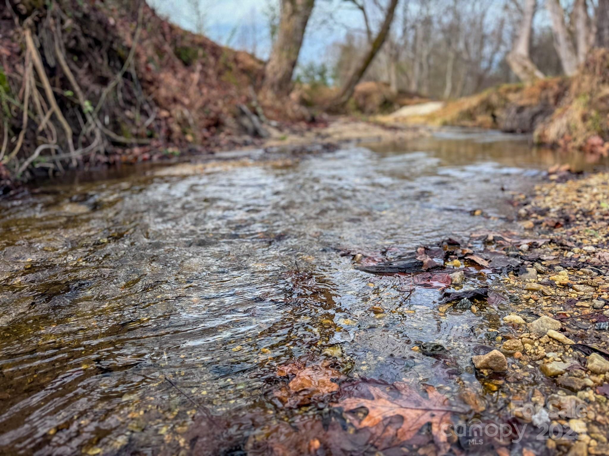 Red Maple Farms - Land