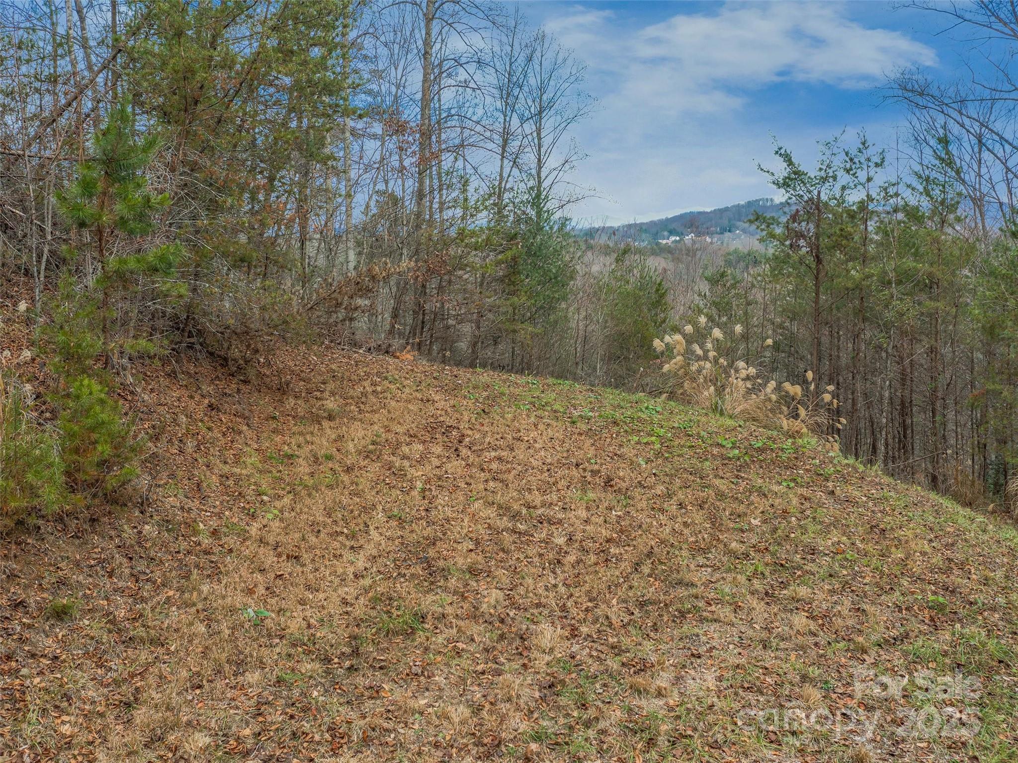 The Cliffs at Walnut Cove - Land