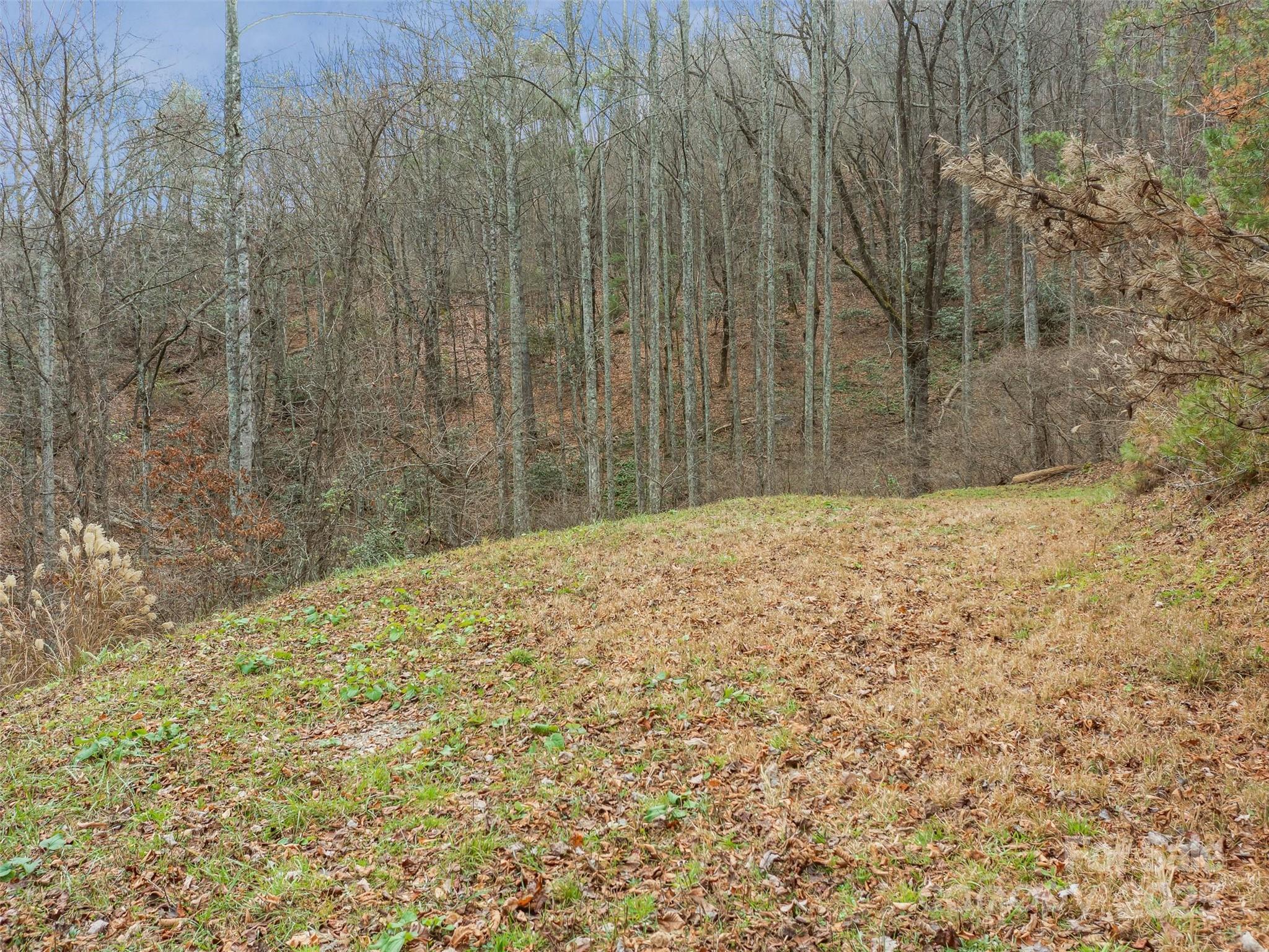 The Cliffs at Walnut Cove - Land