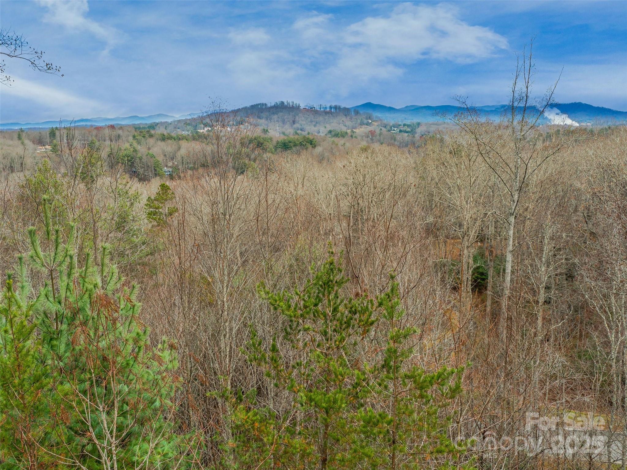 25 Autumn Shade Court 75