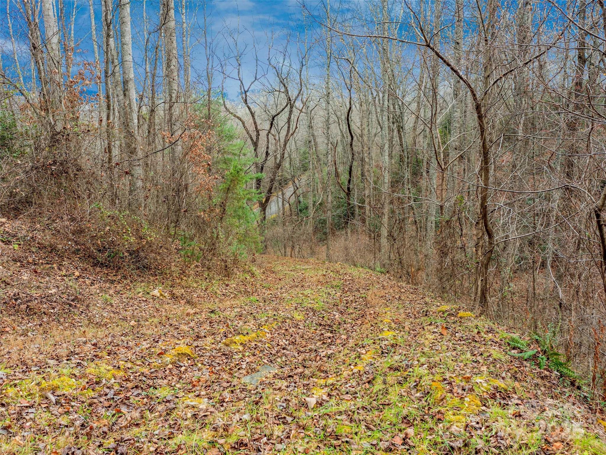 The Cliffs at Walnut Cove - Land