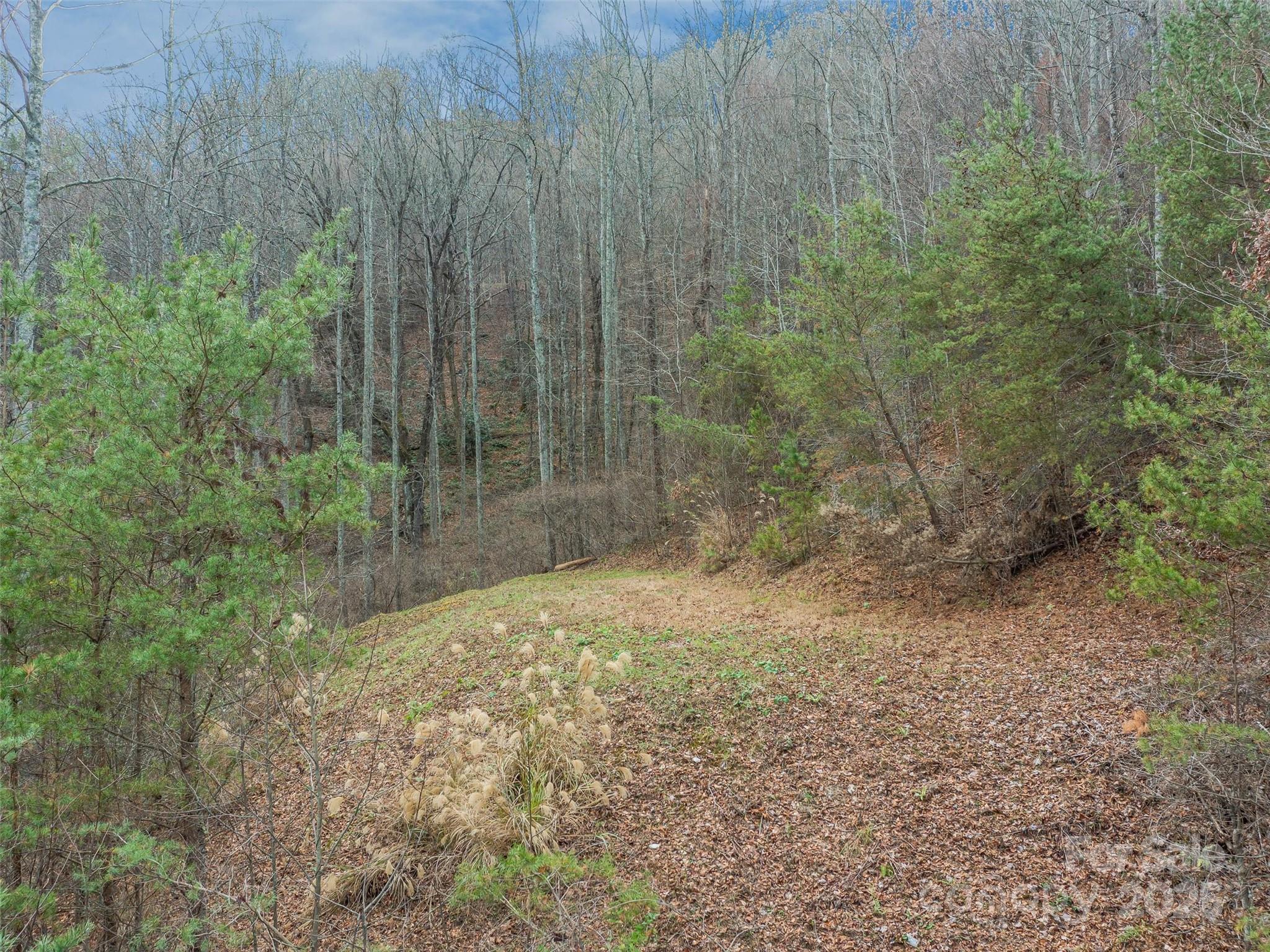 The Cliffs at Walnut Cove - Land