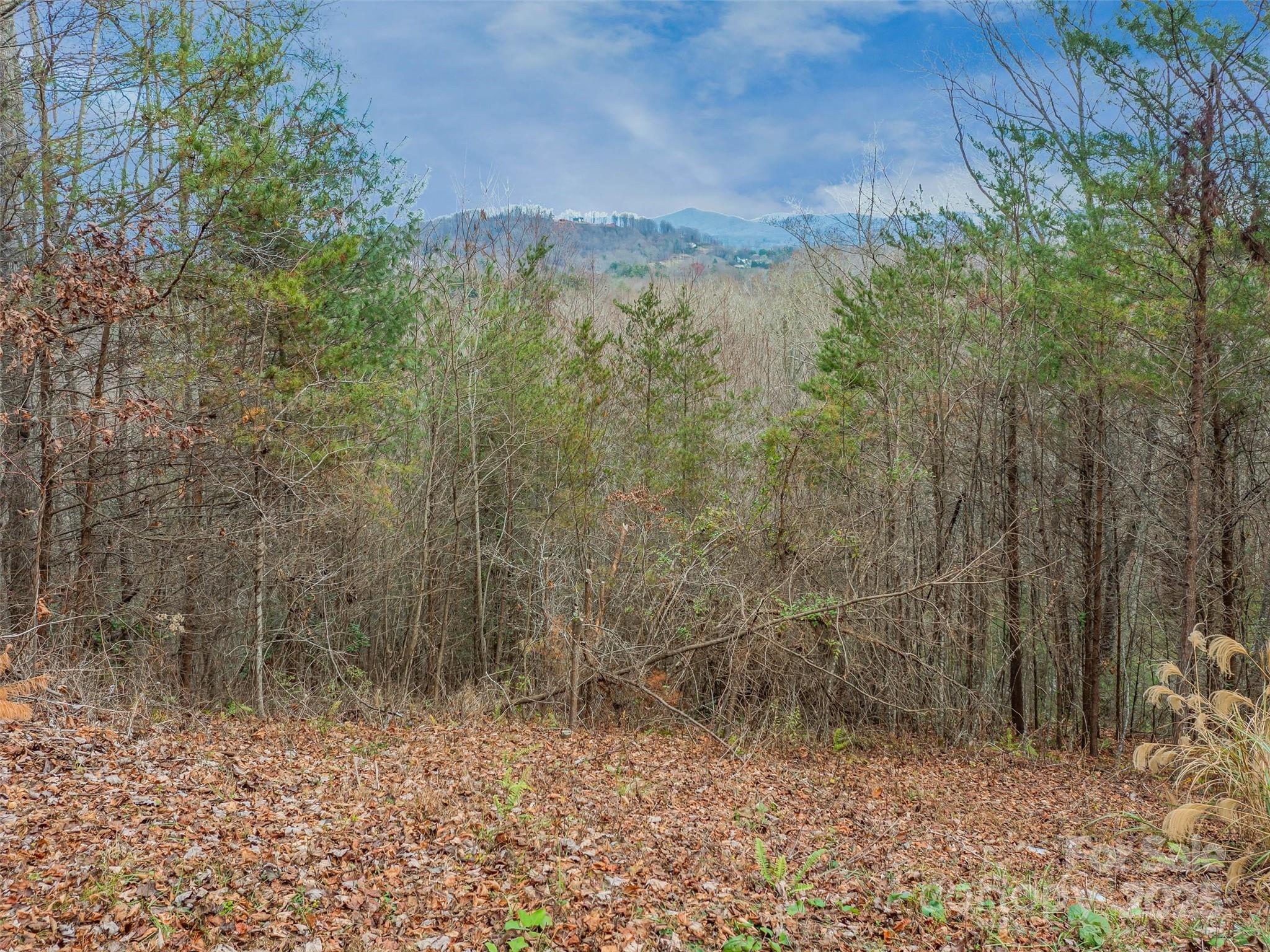 The Cliffs at Walnut Cove - Land