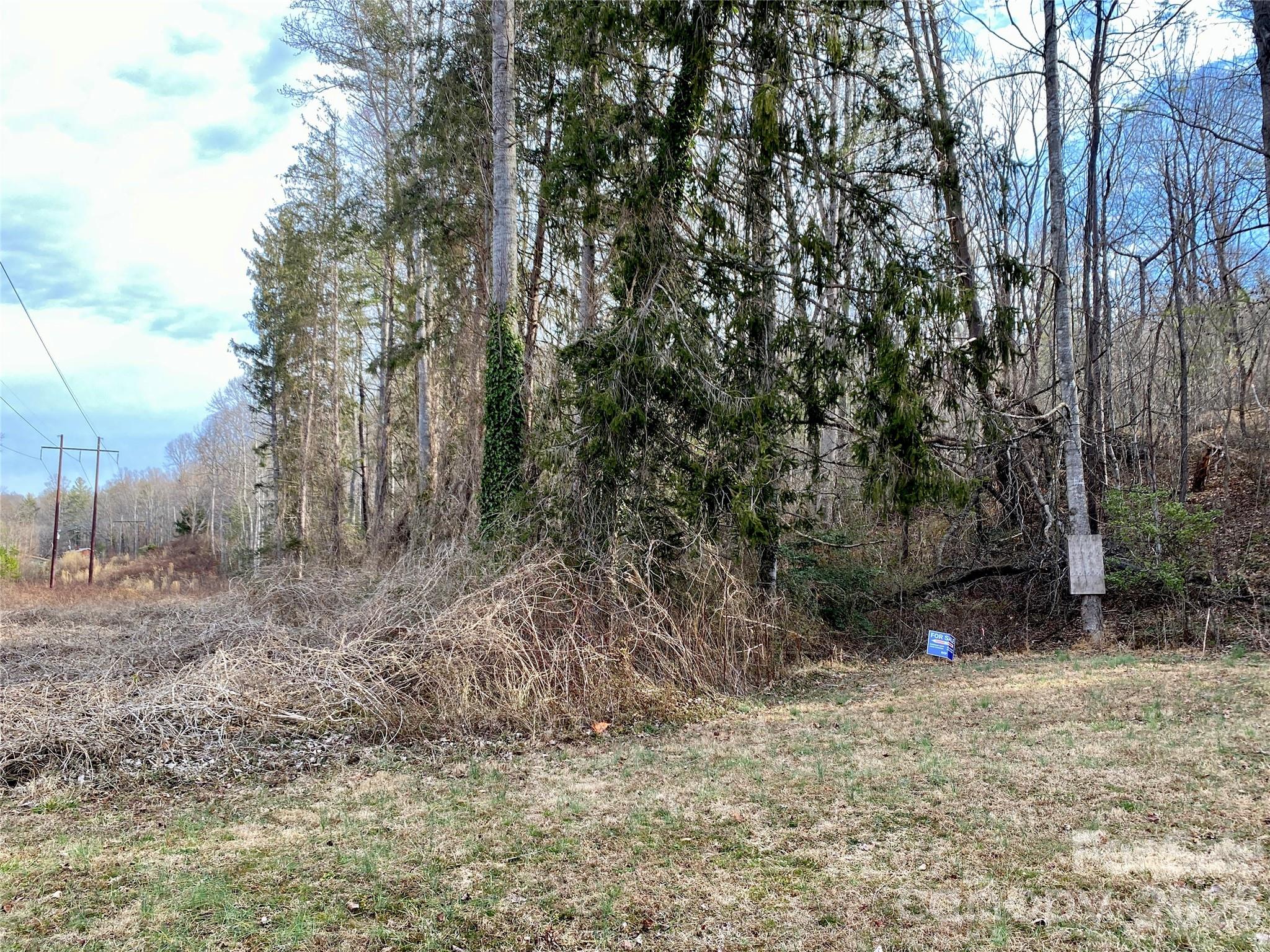 99999 Willow Creek Drive 2