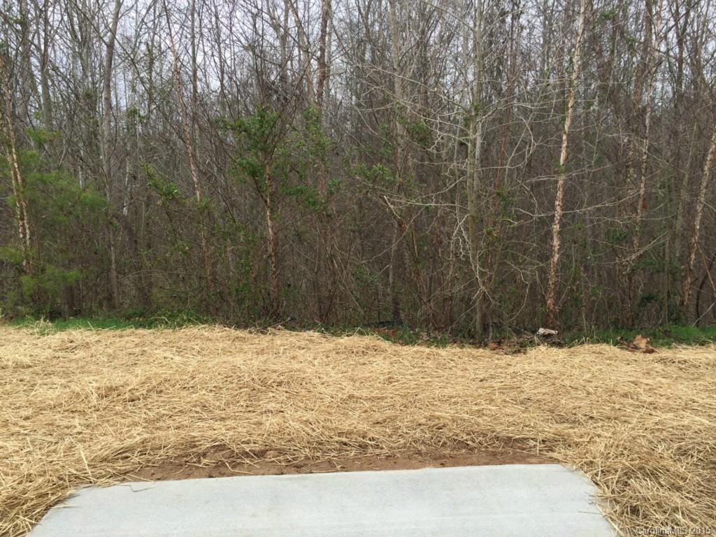 Autumn Woods - Residential