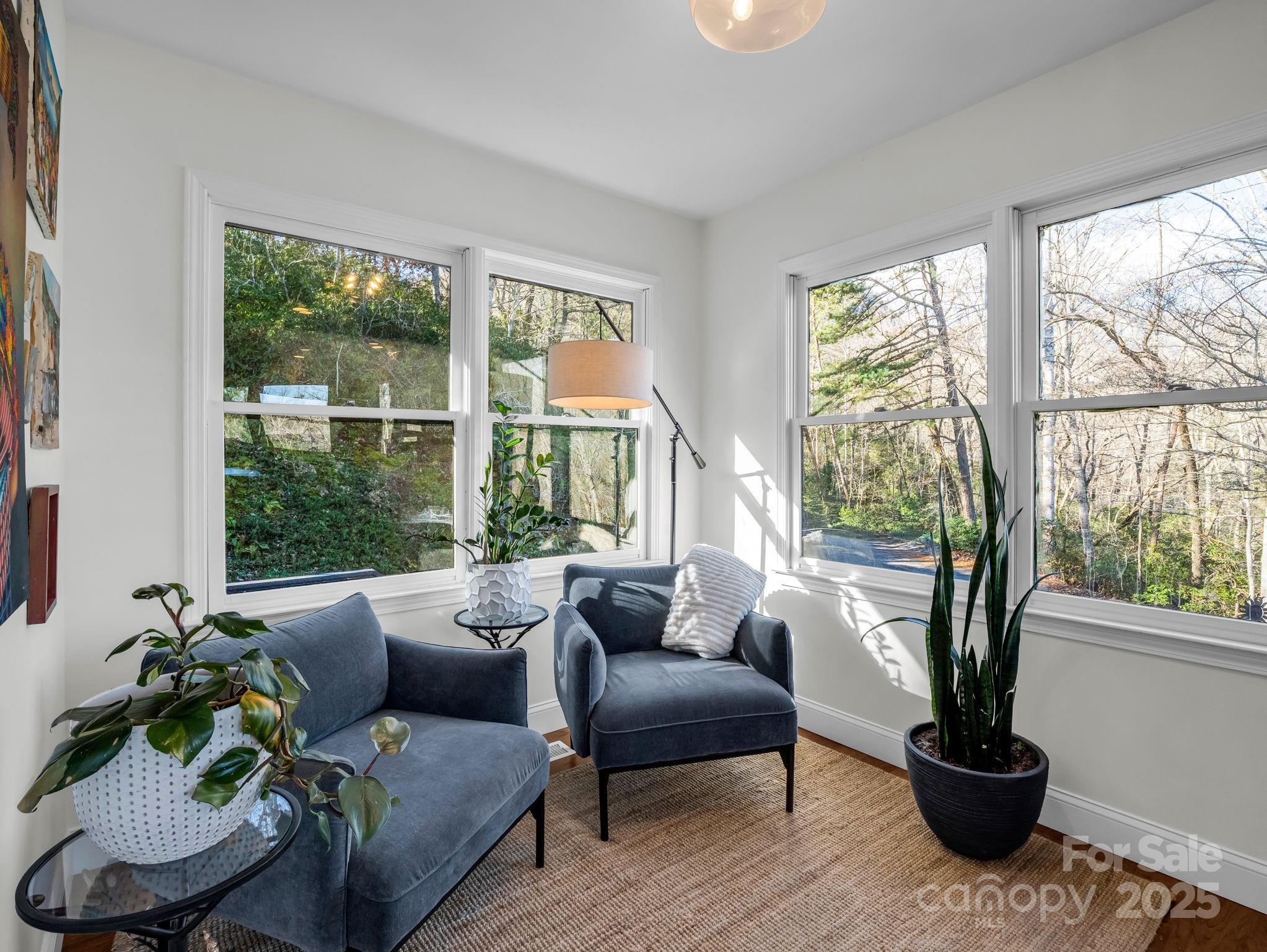 Rumbling Bald on Lake Lure - Residential