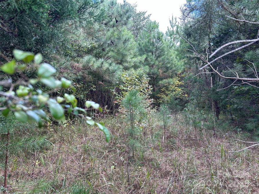 Beautiful acreage for your new home. Just minutes from 1-85, Kings Mountain National Park and apprize 45 minutes from Charlotte Douglas Airport. Deed restrictions for Stick Build Construction only. Lot#4