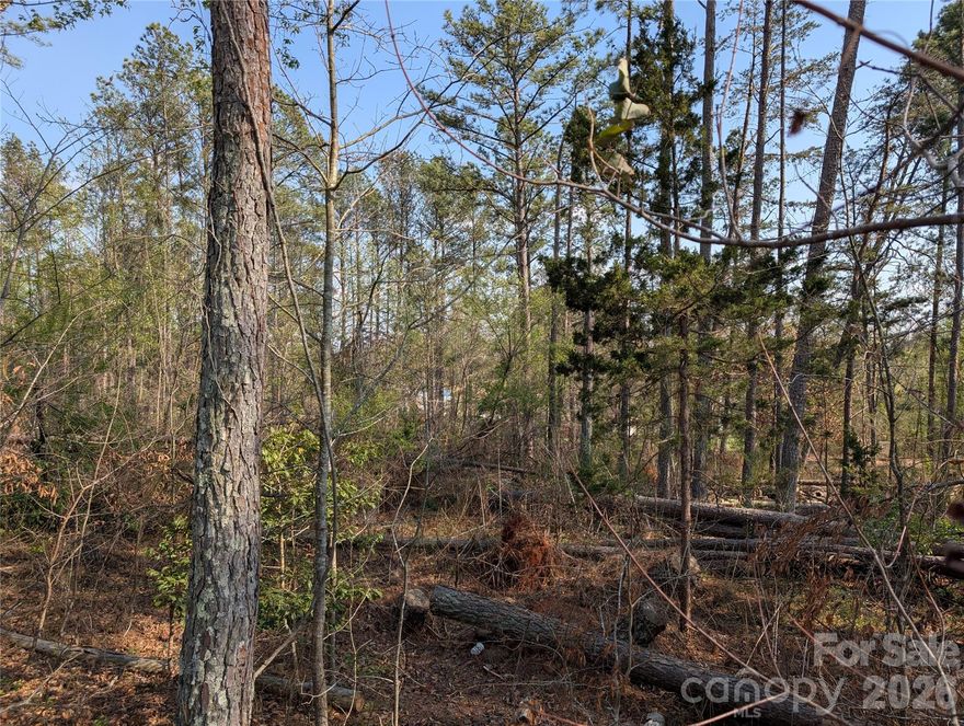 Beautiful 1.11 Acre lot with mature woods. Only minutes from both Rutherfordton and Forest City’s shops and dining, and small-town charm. No restrictions and no HOA. Can be combined with home for sale on adjacent lot - MLS listing 4358974.