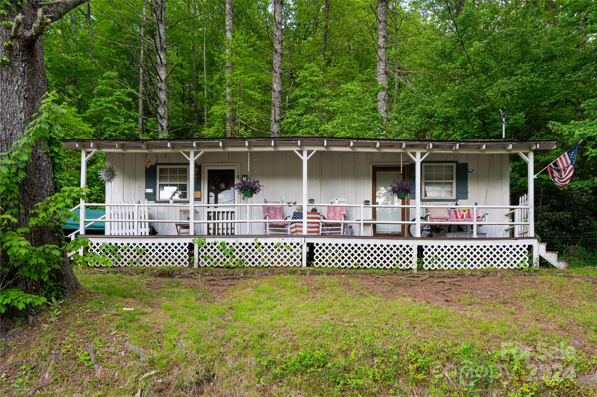 Main image without alt text