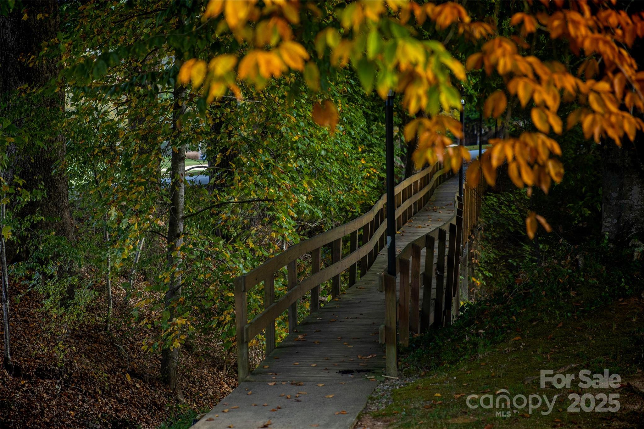 Rumbling Bald on Lake Lure - Land