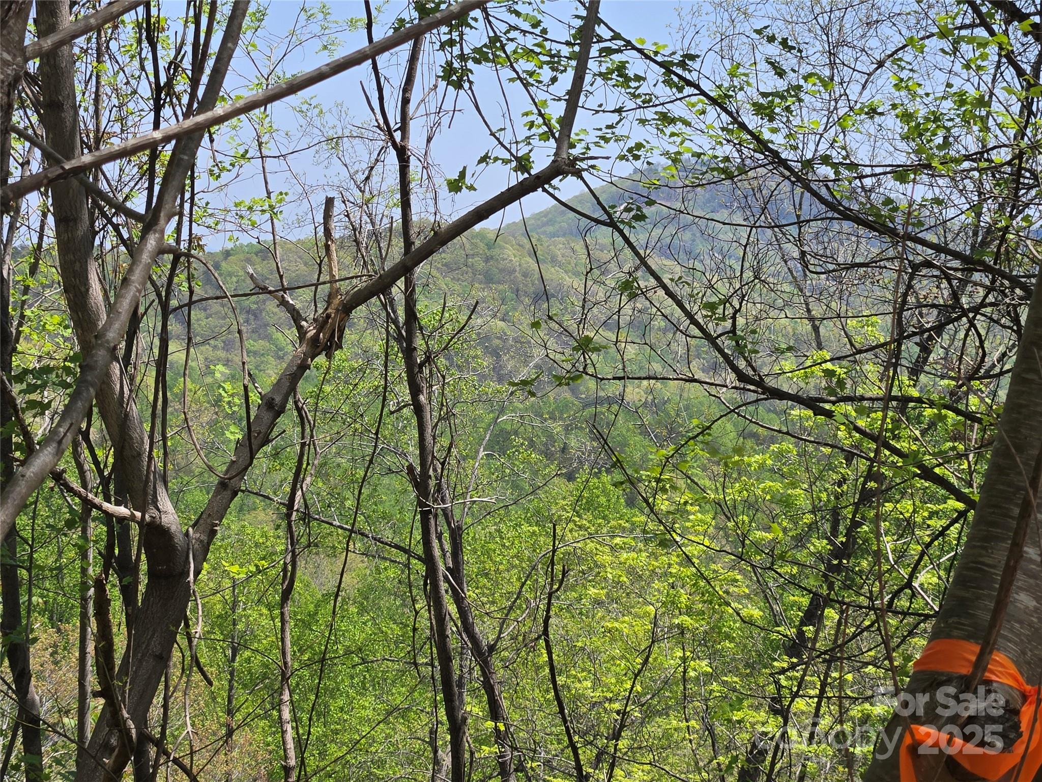 Rumbling Bald on Lake Lure - Land