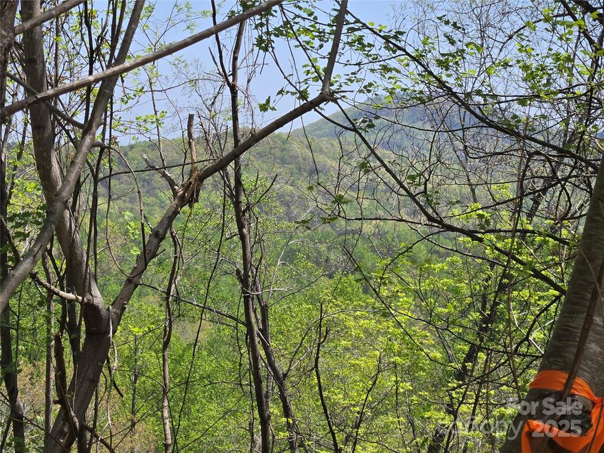 Hillside lot in the Laurel Mountain Estates section of Rumbling Bald on Lake Lure. Views Possible from this gently sloping lot that fronts a paved road.  Roughed in driveway to possible building site. Underground utilities including Community Water, Power, and High-Speed Fiber Optic Internet. There are plans to add an attractive security gate to this neighborhood sometime in the future for additional privacy.  Land for a community park is in the planning stages as well. The community cart path passes through this neighborhood and provides access to the main gate via connecting paths. An amazing opportunity for anyone looking for a unique and private building site while also enjoying all the amenities Rumbling Bald has to offer including two Championship Golf Courses, three pools, Wellness Center, Spa and Salon, Beach, and much, much, more.