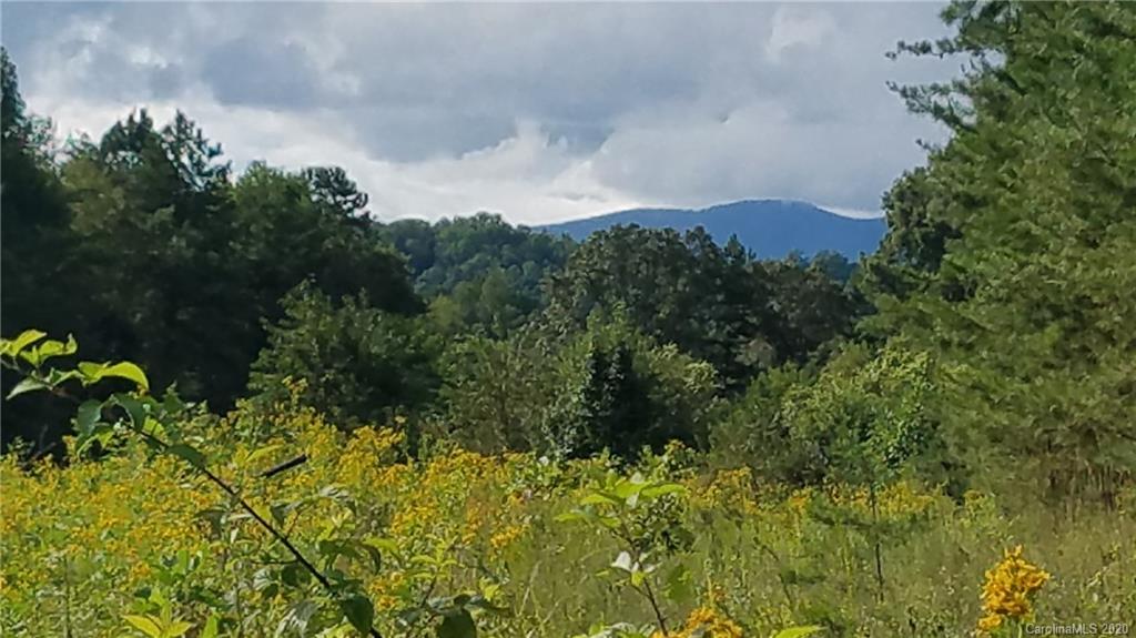 The Meadows at Lake James Station - Land