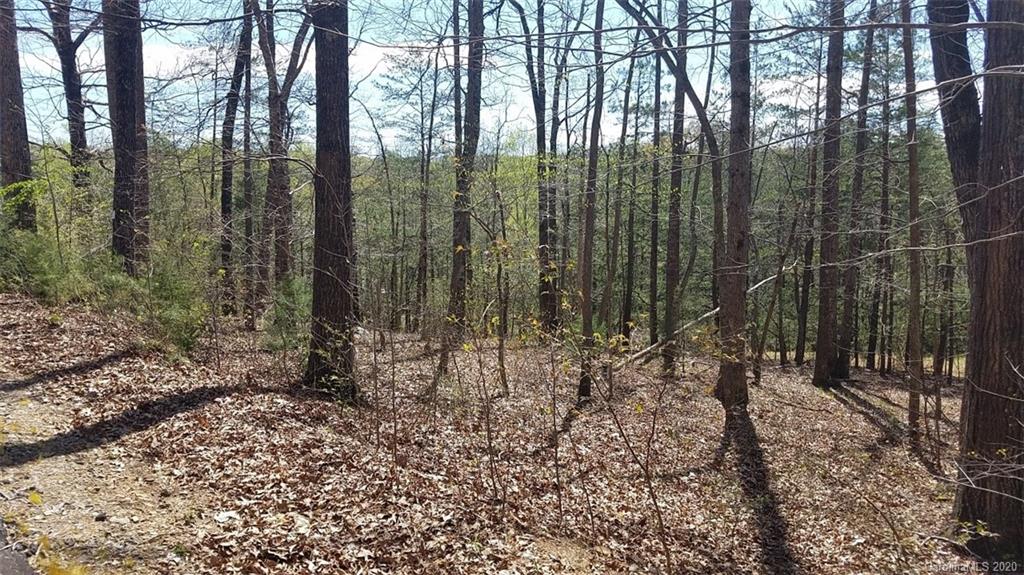 The Meadows at Lake James Station - Land