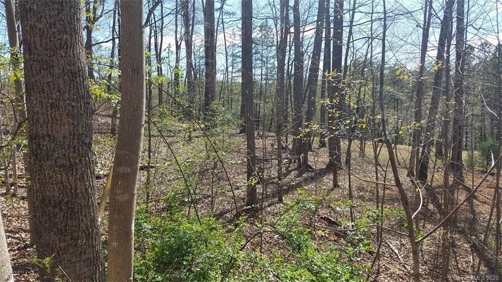 The Meadows at Lake James Station - Land