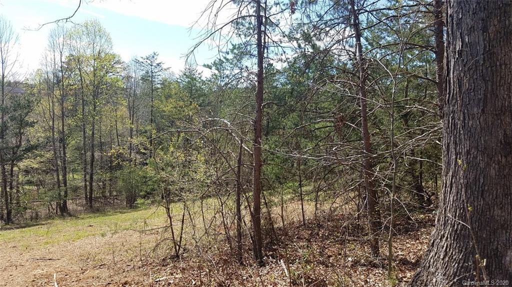 The Meadows at Lake James Station - Land