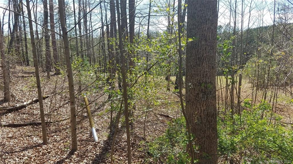 The Meadows at Lake James Station - Land