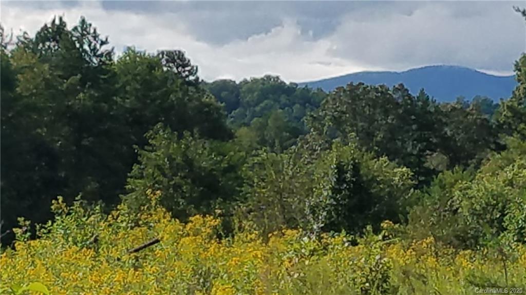 The Meadows at Lake James Station - Land