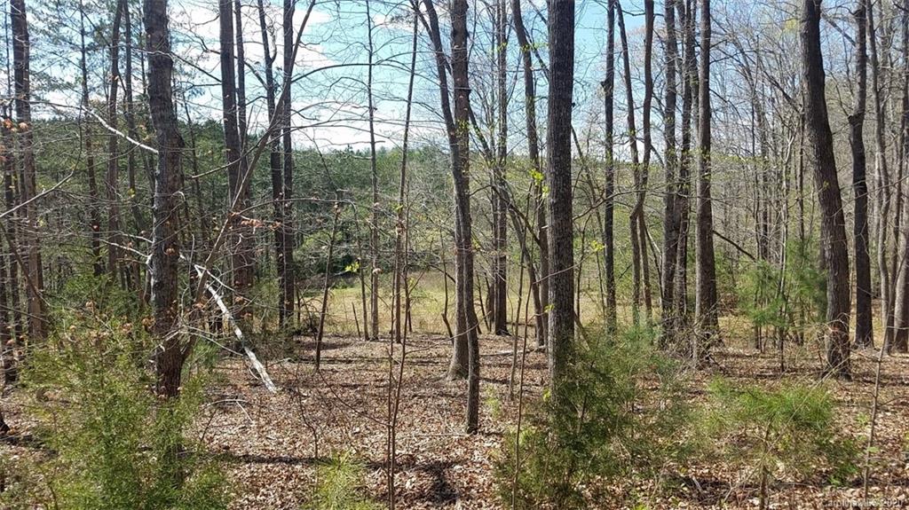 The Meadows at Lake James Station - Land