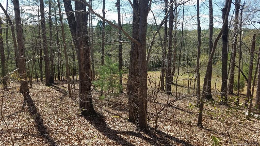 The Meadows at Lake James Station - Land