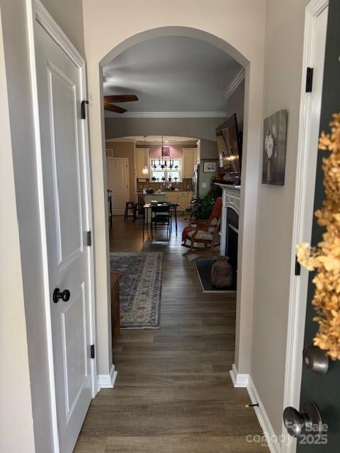 119 Canter Lane