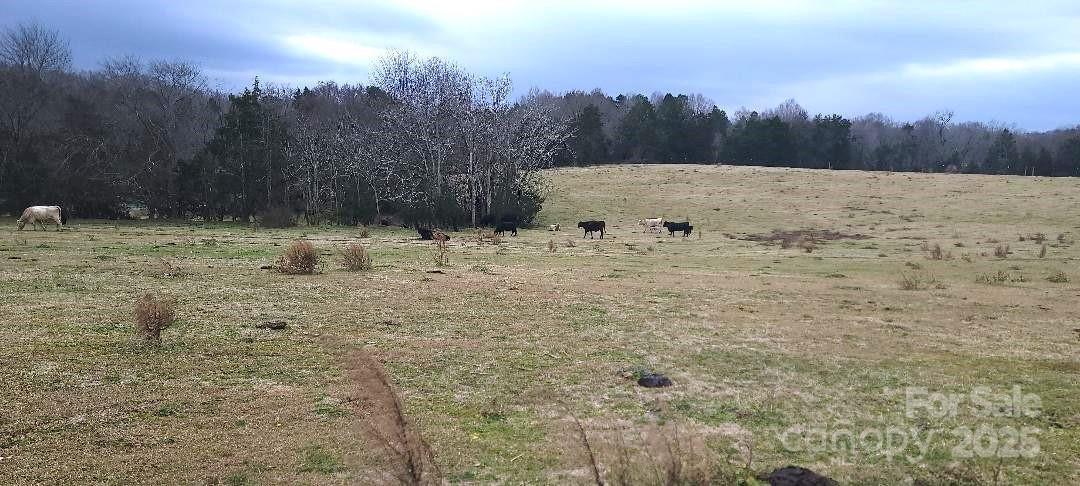 TBD Willie Usher Road