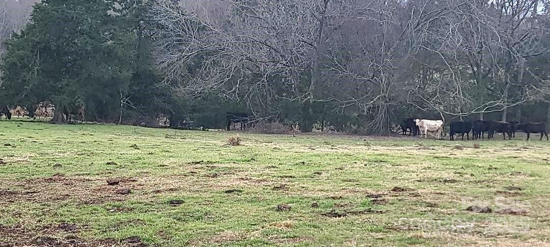 TBD Willie Usher Road