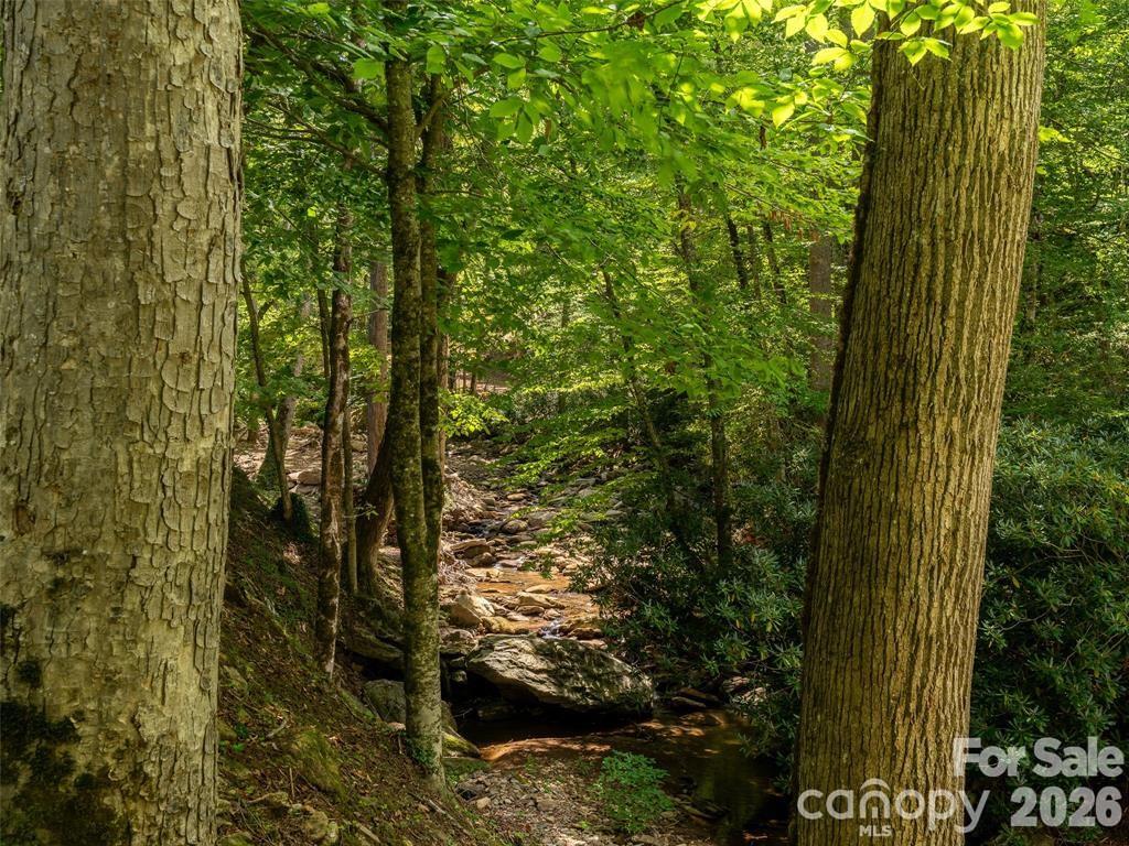 Shelton - Residential