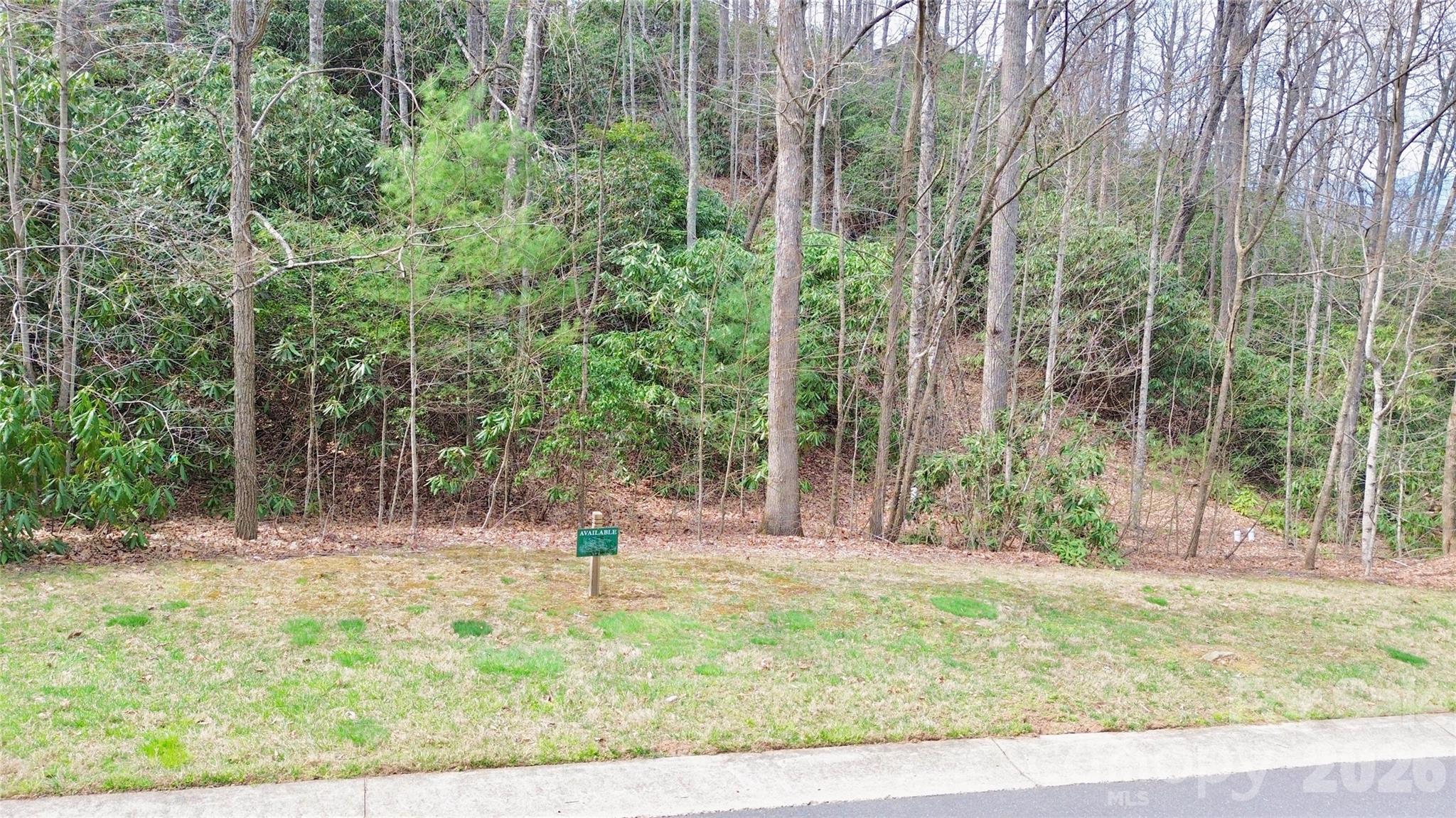 The Settings Of Black Mountain - Land