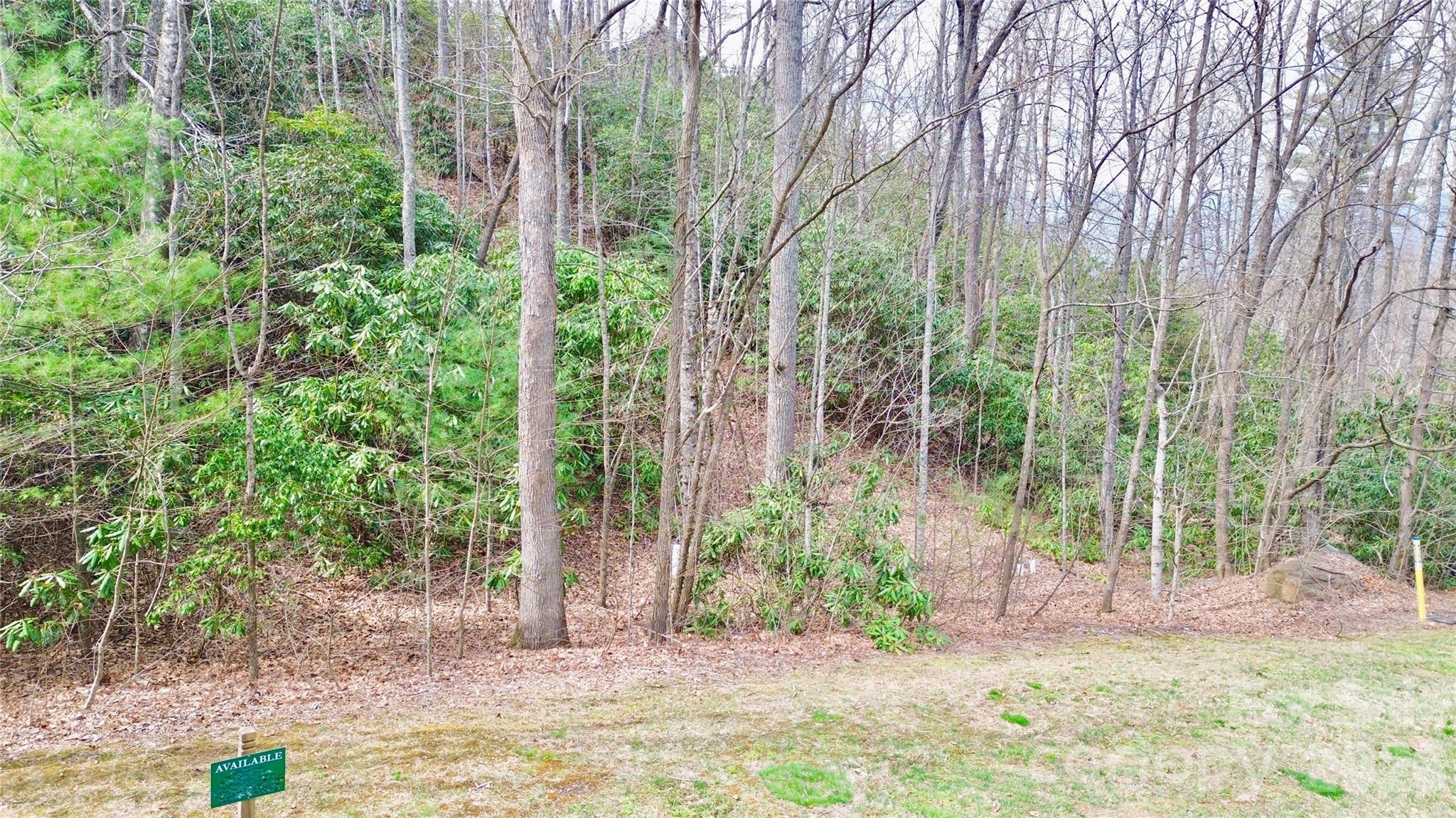 The Settings Of Black Mountain - Land